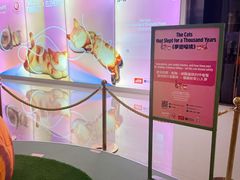 -香港ELEMENTS圆方