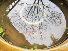 -龙华寺