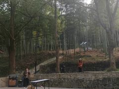 -东明山森林公园