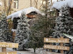 -HERRE·FARM 赫尔露营农场·团建聚会包场