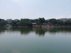 -公园茶楼粤式点心