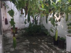 -七贤国际青年旅舍(西七路分店)
