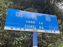 -铁山坪森林公园