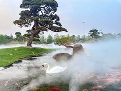 -罗红摄影艺术馆