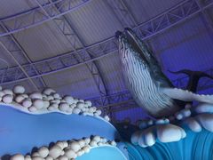 -烟台海昌鲸鲨海洋公园