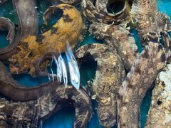 -旺角小渔村·海肠捞饭开创者(环山路店)