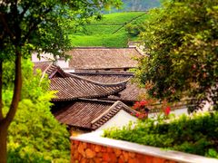 -帐篷客·溪龙茶谷度假酒店