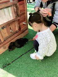 -萌宠亲子动物乐园(槐房万达店)