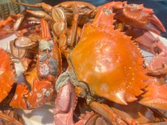 -晓伟海鲜家常菜