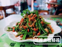 凉拌水性杨花-88号小吃店·经典云南菜·地道纳西美食