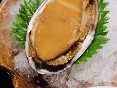 芙蓉冰鲍鱼-辛香汇·现炒川菜(淮海路百盛店)