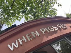 -WHEN PIGS FLY当猪飞