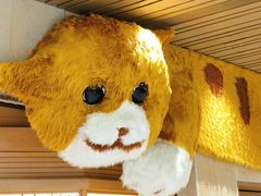 -帕帕拉兹宠物(亚洲旗舰店)