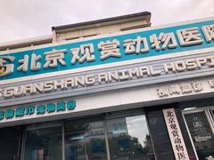 -北京观赏动物医院·24小时大型综合·猫专科·异宠专科