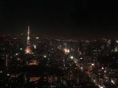 -六本木新城展望台(东京城市景观)