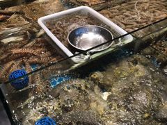-新农都水产市场