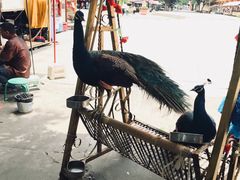 -西双版纳勐泐文化旅游区