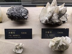 -中国地质博物馆