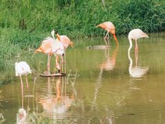 -杭州野生动物世界