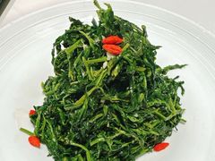 红果枸杞苗-清真·宁夏印象·盐池滩羊肉体验店(江宁路店)