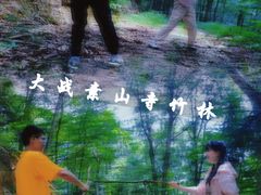 -素山寺森林公园