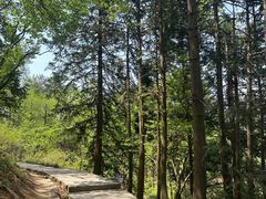 -九华山风景区月身宝殿