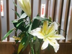 -鑫小城故事·藕汤·家常菜(台北一路总店)