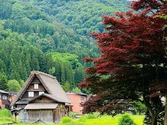 -白川乡与五箇山的合掌构造村落