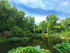 -三忘湖 SWANSEEN(柳荫公园店)