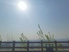 -杭州半山国家森林公园