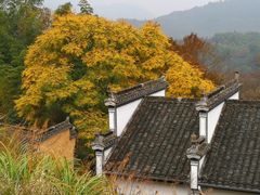-塔川景区