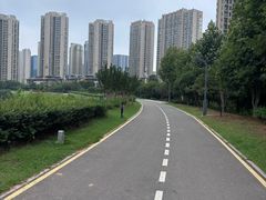 -洋湖国家湿地公园