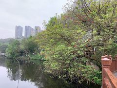 -重庆彩云湖湿地公园