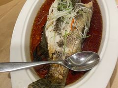 -新龙船黄浦江餐饮游船官方自营店