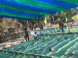 -阿菠萝小猪农场·萌宠乐园·亲子游·研学