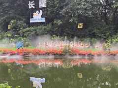 -广州长隆飞鸟乐园