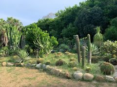 -海悦山庄酒店-花园泳池