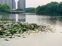 -新江湾城公园
