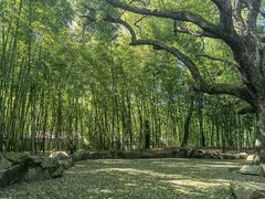 -兰亭风景区