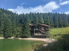 -武陵山森林公园