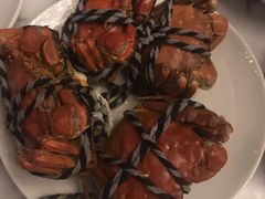 -上海龙之梦万丽酒店