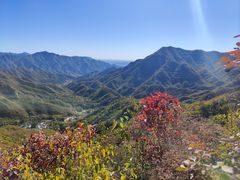 -大岭沟猕猴桃谷风景区