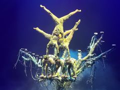 -水秀国际大剧院