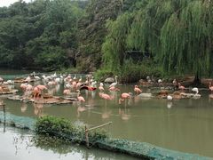 -宁波野生动物园