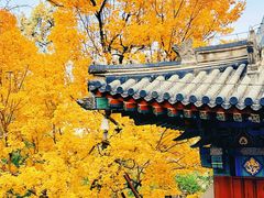 -香山公园