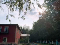 -北京梧桐树双语幼儿园