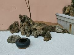 -莲心素食茶艺馆(章华寺店)