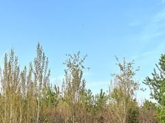 -汉长安城未央宫国家考古遗址公园