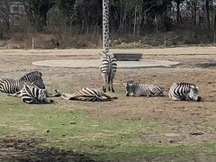 -宁波野生动物园