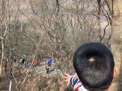 -紫金山山顶公园